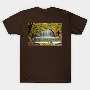 Passage to Middle Earth T-Shirt